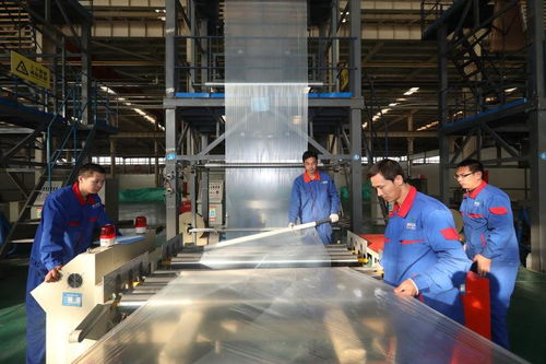 PBAT型生物降解地膜產(chǎn)品研發(fā) 生物化工技術(shù)創(chuàng)新引領(lǐng)綠色農(nóng)業(yè)未來(lái)